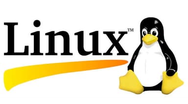 Linux Professional